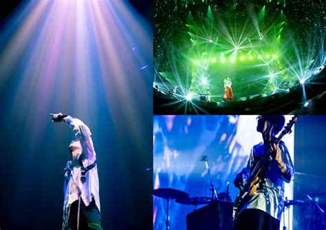 radwimps 내한, 일본 록 밴드의 한국 공연이 주는 문화적 교류의 의미